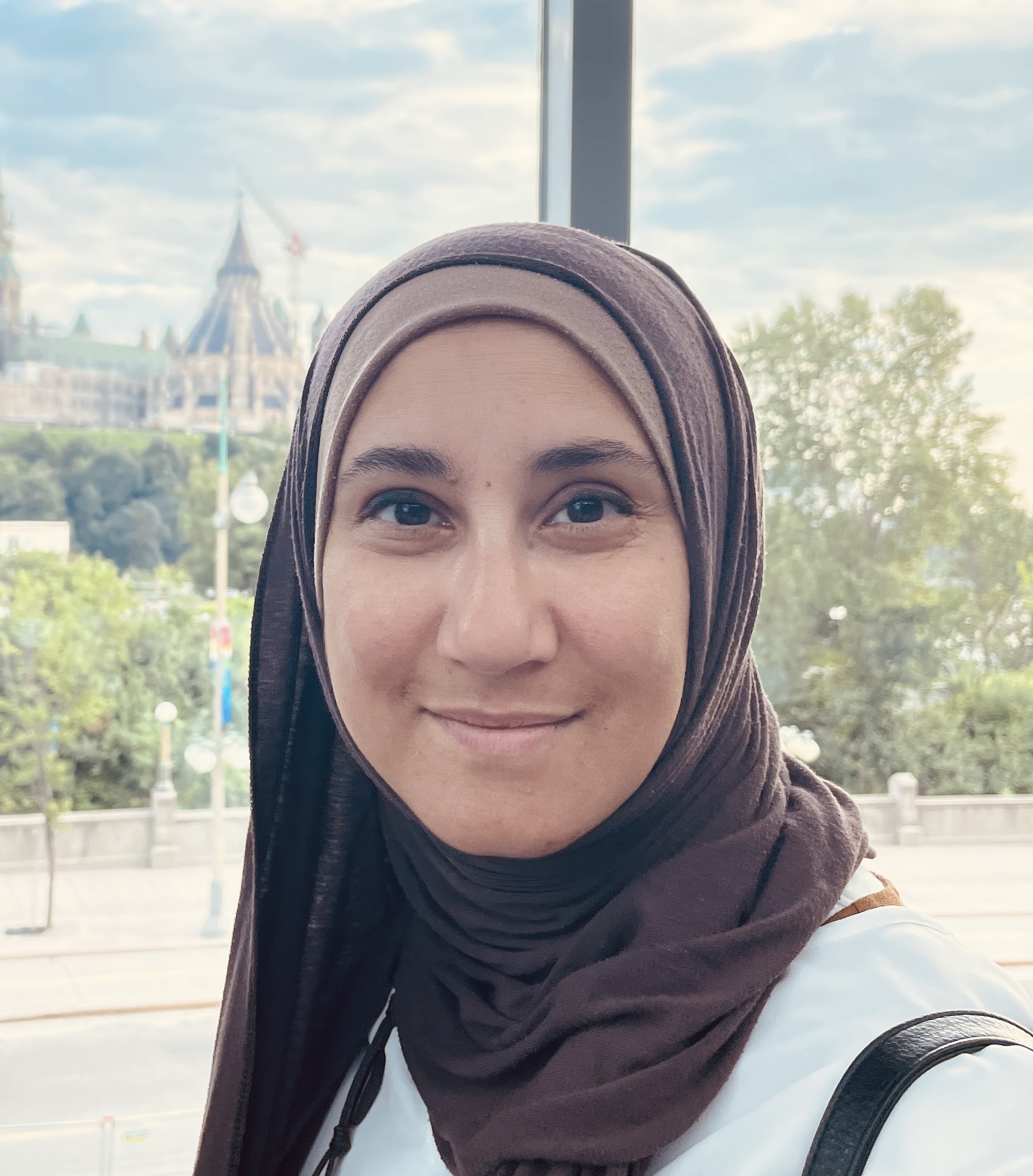 Dr. Aisha Sherazi